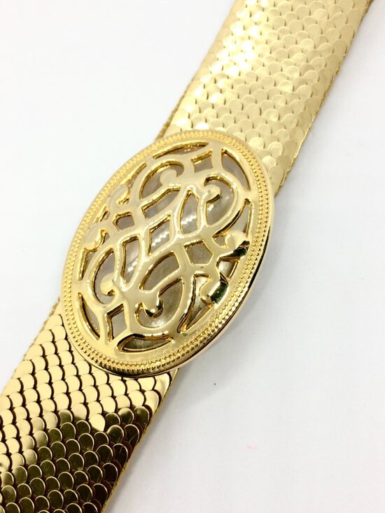 VINTAGE GOLD TONE Stretch Belt Day Lor Wide Scale Statement Disco Waist Cinch main image 14